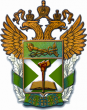 Ростовский филиал РТА – Российской таможенной академии